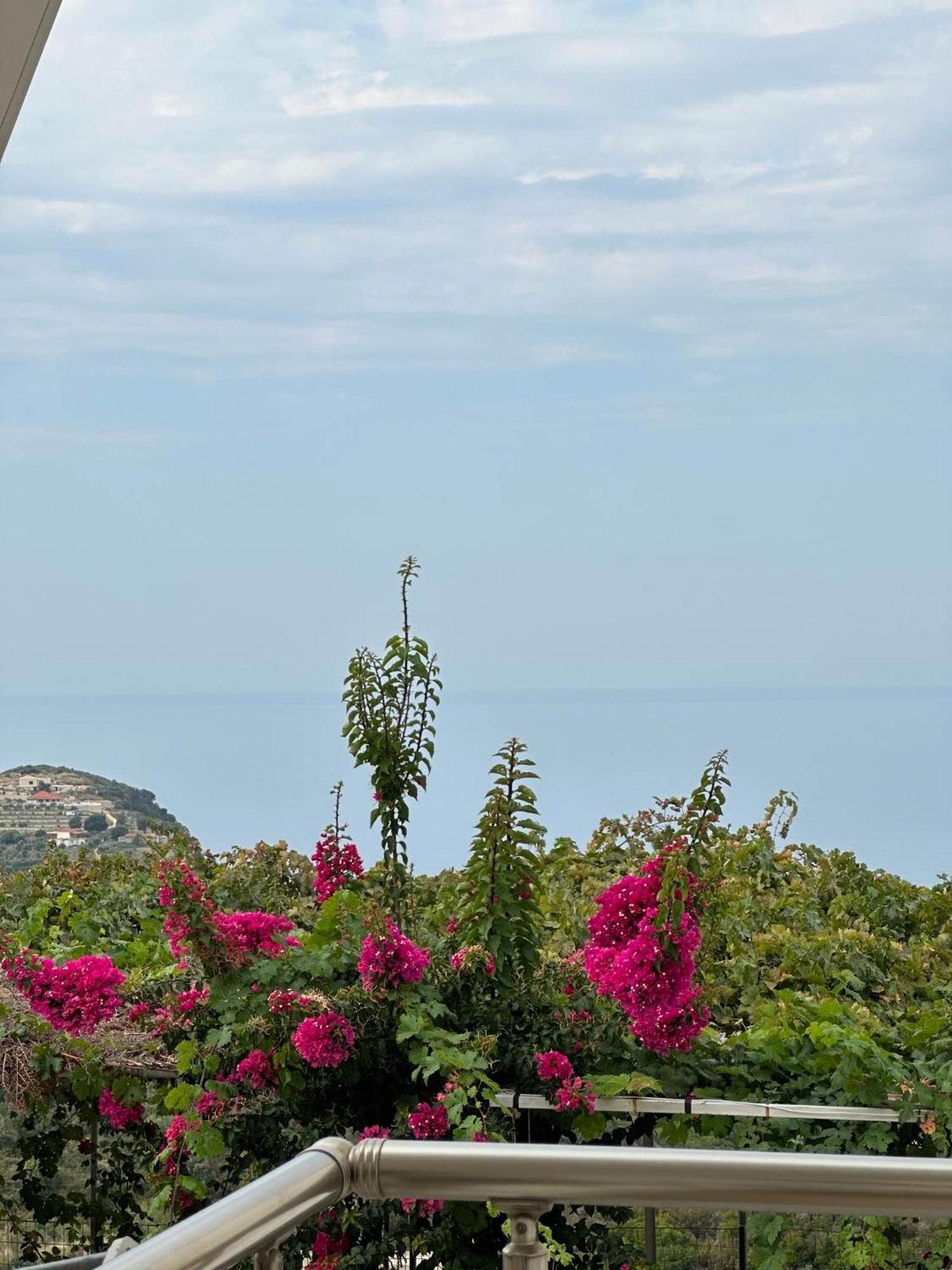 Elea Guesthouse Himare Exterior foto