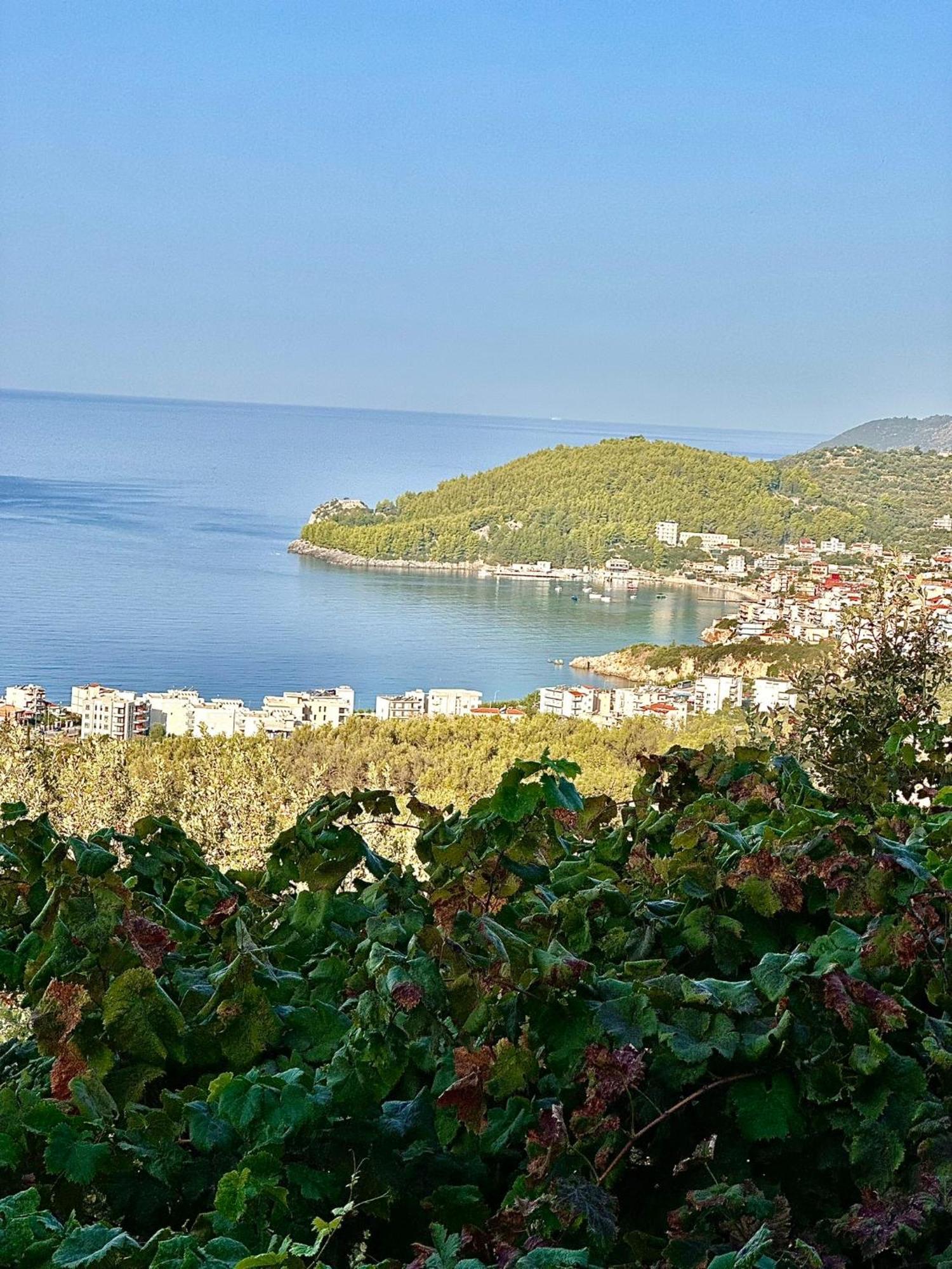 Elea Guesthouse Himare Exterior foto