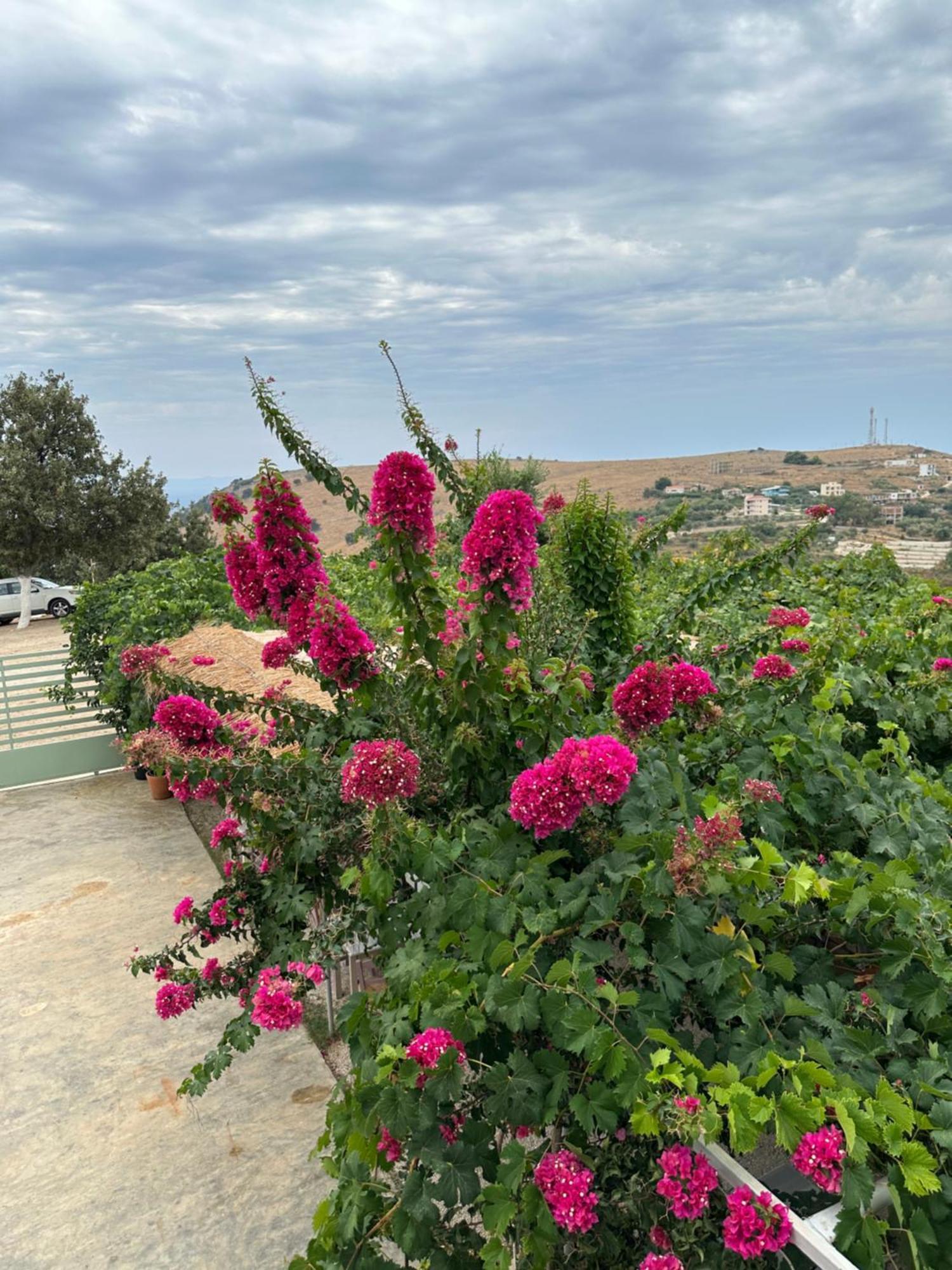 Elea Guesthouse Himare Exterior foto